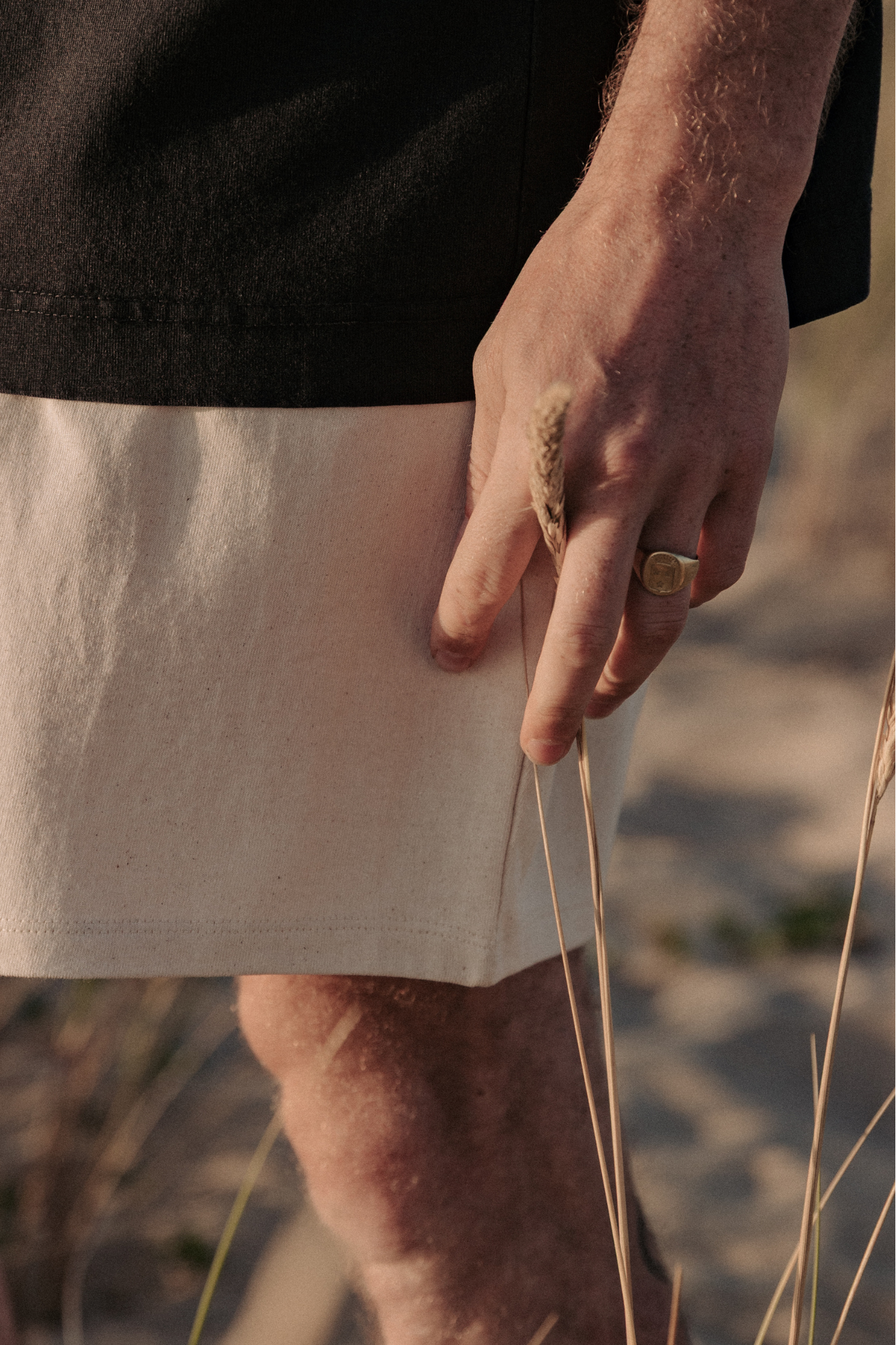 Short Le Matinal